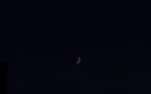 �����������Z175��