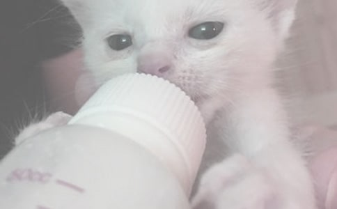 Մ���ӻ��ι��