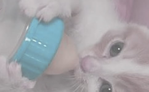 ι�̕rՈ���⺢��