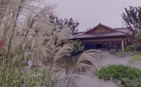 ��Ȫ����500��