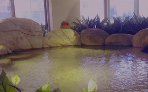 關(guān)于溫泉作文500字錦集八篇