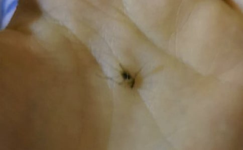 С�W(xu��)��������400��