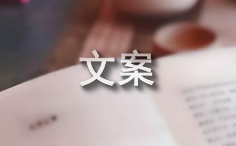 雙十一倒計時廣告文案范文