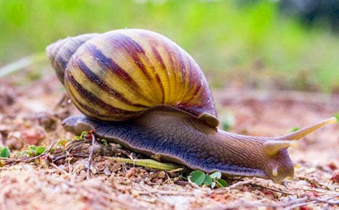 С΁ţ�^����ӛ