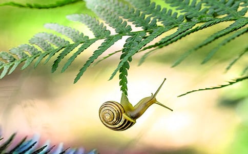 С�����g(sh��)�̰�С΁ţ�Ҽҷ�˼