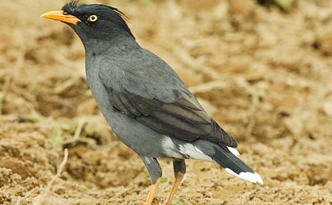 �����f��ˮ���̰����x15ƪ