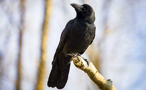 ��ࡶ���f��ˮ���ƌW(xu��)�̰�6ƪ