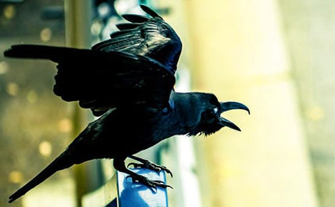 ���Һ͞��f�����ӡ��x���