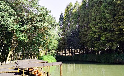 ���(zh��n)��ӛС�W(xu��)������