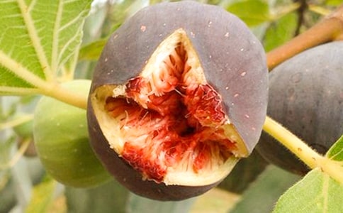 �Ř�͟o����������