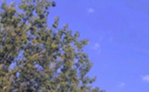 溫馨午安寄語30句