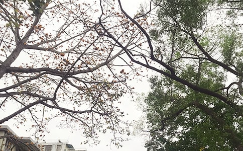 ��(j��ng)�䂀(g��)���簲���Z(y��)�����x50�䣩