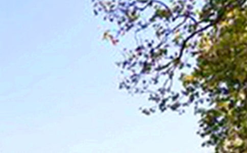 ů���簲���Z30��