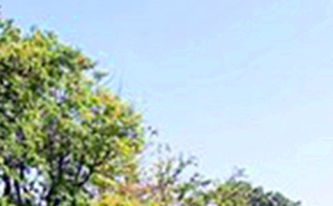 正能量午安寄語(yǔ)(精選30句)