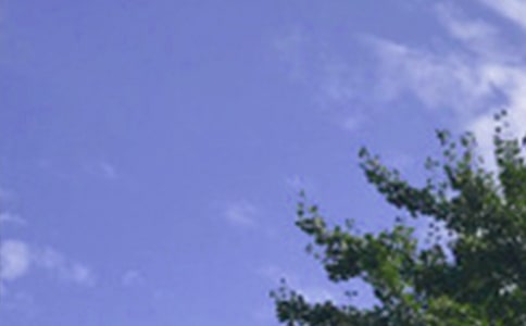 經(jīng)典正能量午安寄語(精選30句)