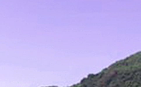 �簲�ľ��� 