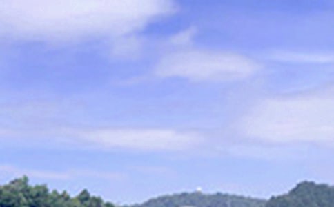 �������簲���Z90��