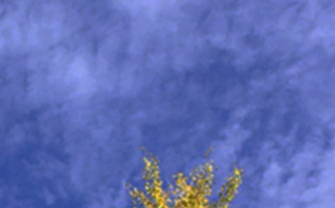 經(jīng)典正能量午安寄語(yǔ)30句精選