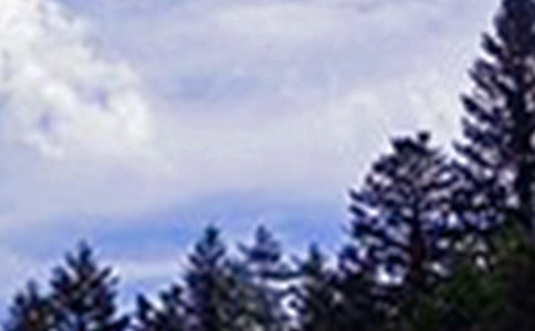 正能量午安寄語(yǔ)(通用60句)