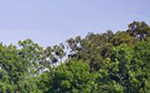 ��(l��)־�簲���Z(y��)100��