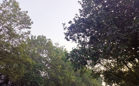 ��(j��ng)���簲���Z(y��)��ͨ��90�䣩