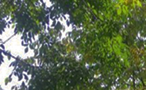 經(jīng)典正能量午安寄語60句精選