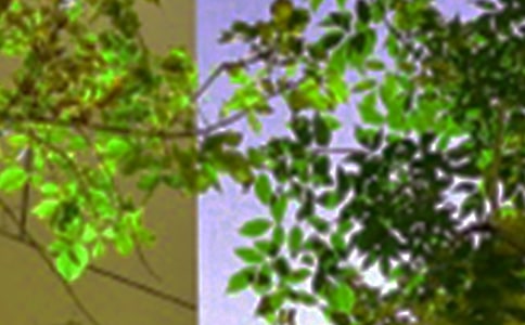 ��(l��)־�簲���Z(y��)70��