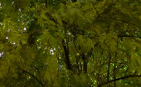 �P�������簲���Z��ȫ��ͨ��80�䣩