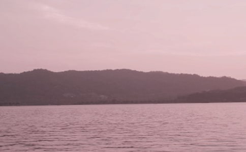 �P(gu��n)�������Č�������