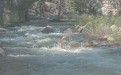 《小溪流的歌》教案3