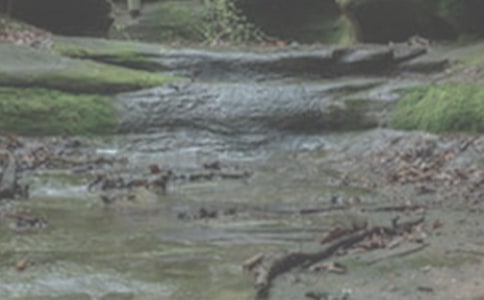 СϪ��������������550�����꼉