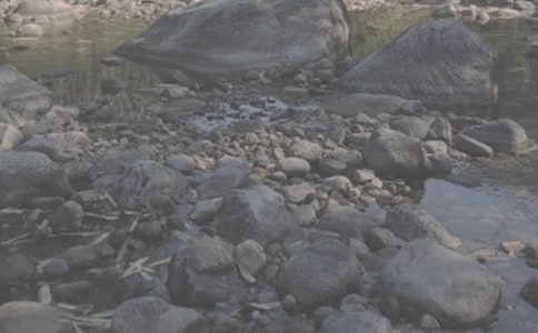 小學(xué)五年級作文:我聽懂了小溪流的歌——讀《小溪流的歌》后感