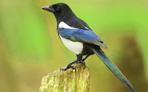 �����ϲ�o���̰���ͨ��16ƪ��