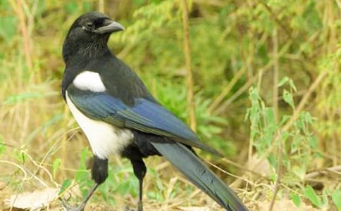 �P(gu��n)��ϲ�o����