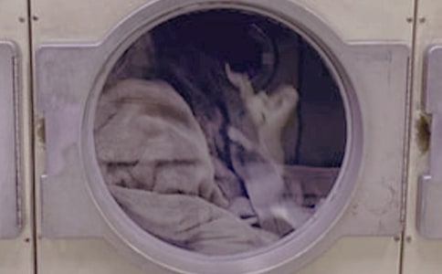 ���P(gu��n)�֙C(j��)��ϴ�µďV���~