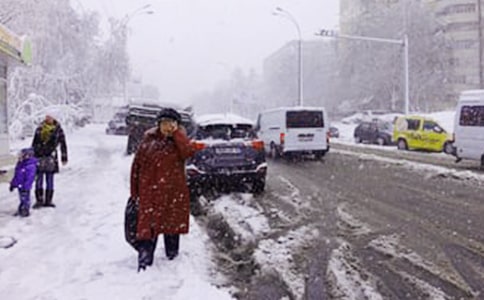 下雪了寫景作文