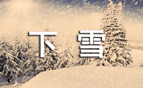 下雪了寫景作文11篇