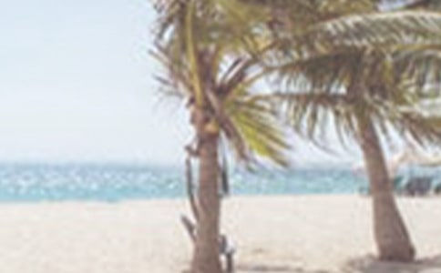 夏季食品安全工作檢查