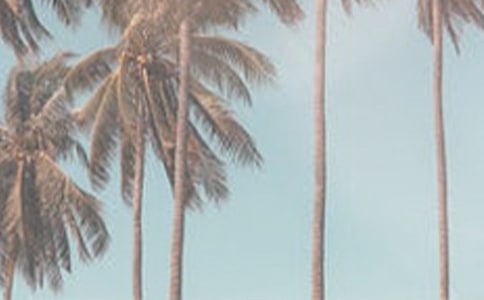 �P���ļ������ģ����x15ƪ��