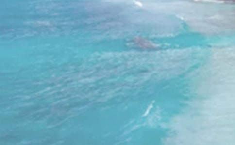 ���ճ˛���������