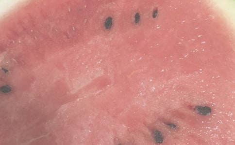 夏日捕蟬記敘事作文