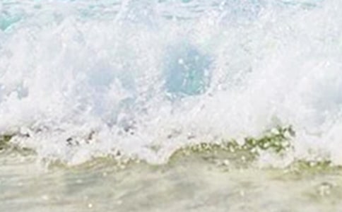 那個(gè)夏天作文550字