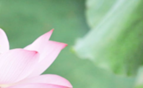 2023�����B(y��ng)���ľ��ӣ����x180�䣩