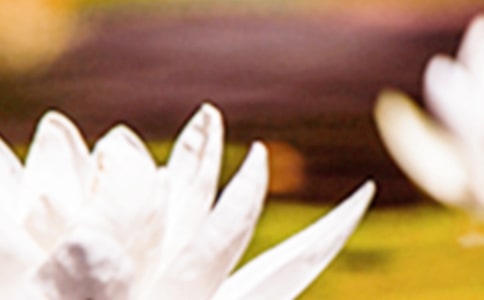 �������õľ��ӣ����x225�䣩