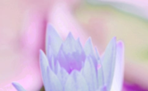 夏至節(jié)氣簡短祝福寄語