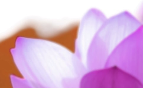 夏至祝福寄語15篇