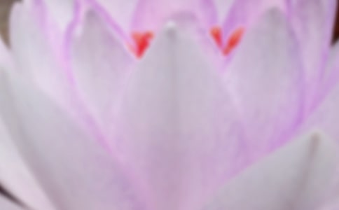 �����B(y��ng)�����ӣ����x265�䣩