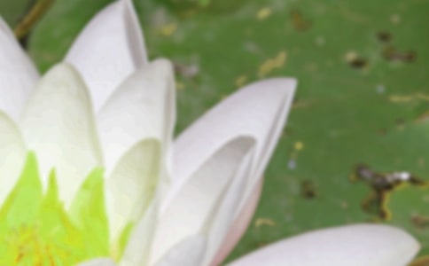 �P(gu��n)������δ����������