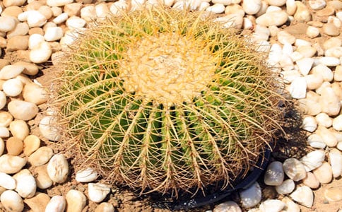 [ͨ��]����������