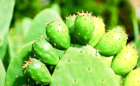 �P(gu��n)�������Ƶ�����15ƪ�����A��